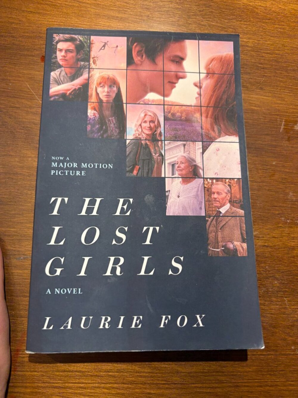 The Lost Girls A Novel By Laurie Fox Book